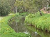 River Torrens: by pauline, Views[1254]