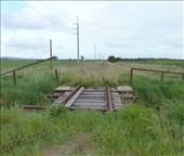 Tantanoola Railway Line: by pauline, Views[268]