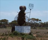 Big Fly: by pauline, Views[439]