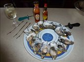 Coffin Bay Oysters: by pauline, Views[1959]
