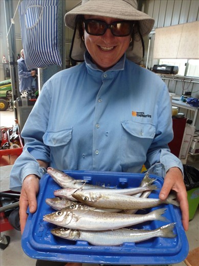 Fishing near Wangary