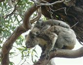 by pauline, Views[847]