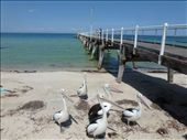 Tumby Bay: by pauline, Views[295]