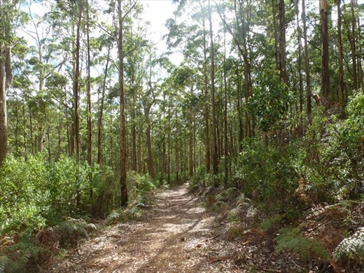 Nancy Peak Circuit Walk, Porongurups