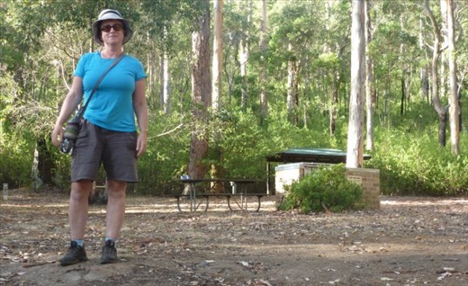 Tree in the Rock Picnic Area, Porongurups