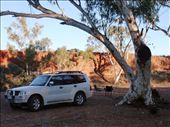 Bobs Swim Camp: by pauline, Views[169]