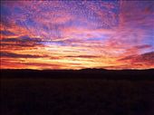Bobs Swim Sunrise: by pauline, Views[1319]