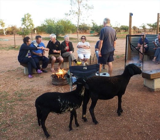 Happy Hour Bullara Station