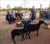 Happy Hour Bullara Station: by pauline, Views[304]