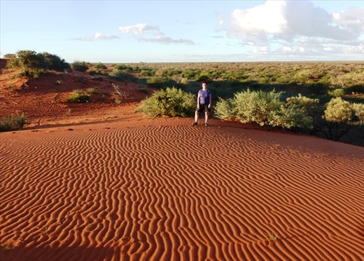 Sand Hills, Bullara Station