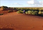 Sand Hills, Bullara Station: by pauline, Views[2731]