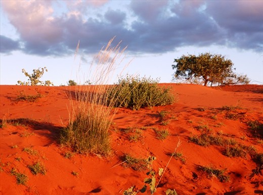 Sand Hills, Bullara Station