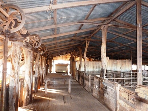 Shearing Shed, Bullara Station