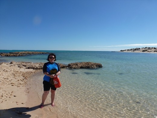 Snorkelling Pilgrumunna Cape Range NP
