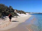 Snorkelling Pilgrumunna Cape Range NP: by pauline, Views[381]