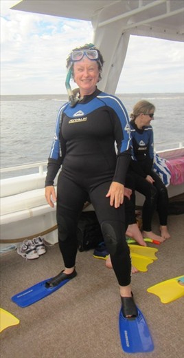 Swimming with Whale Sharks