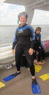 Swimming with Whale Sharks: by pauline, Views[1200]