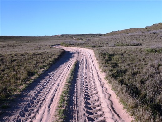 Track to Elles Beach, Warroora Station