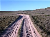 Track to Elles Beach, Warroora Station: by pauline, Views[3109]