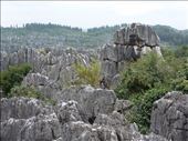 The Stone Forest: by paulinemendes, Views[197]