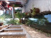 Canal & Alleyway, Ancient Lijiang: by paulinemendes, Views[202]