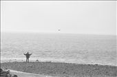 Flying in the foggy Tagus: by pauloalmeida, Views[223]