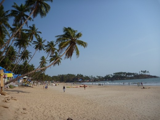 Sunbathers beware of the falling coconuts (witnessed this happen!)