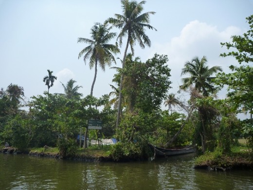 Cruising the backwaters
