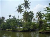 Cruising the backwaters: by paulpiorun, Views[239]