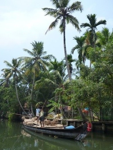 Cruising the backwaters