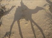 Shadow shot!: by paulpiorun, Views[294]