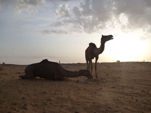 Early morning sunrise