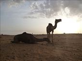 Early morning sunrise: by paulpiorun, Views[466]