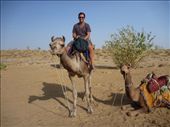Me and my camel, such a pleasure to ride: by paulpiorun, Views[385]