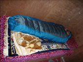 Snug as a bug in a rug!: by paulpiorun, Views[629]