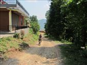 Bradley wiggins for england ...!: by paulpiorun, Views[288]