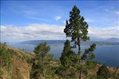 by paulpiorun, Views[157]