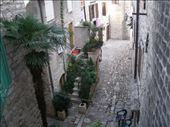 by pauluiza, Views[296]