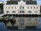 by pauluiza, Views[378]