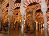 Cordoba - Mezquita: by pauluiza, Views[775]