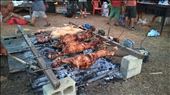 Marathias local lamb on spit: by pauluiza, Views[520]