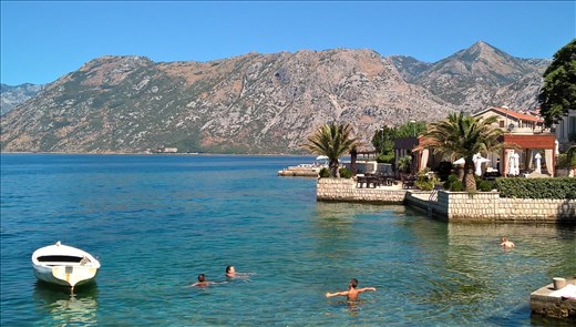 Kotor