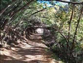 by pauluiza, Views[327]