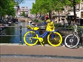 Amsterdam: by pauluiza, Views[276]