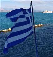 by pauluiza, Views[179]