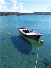 by pauluiza, Views[261]