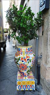 by pauluiza, Views[166]