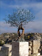 by pauluiza, Views[218]