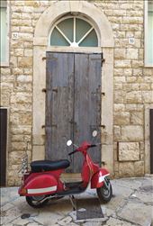 by pauluiza, Views[231]