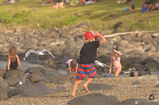 Whilst down at Burleigh on a lovely busy Sunday afternoon of sun and sea. I captured this little surfer dude trying to sneak up and scare the seagulls nearby, as soon as he did his hands were up for cover and he ran like crazy, typical. This image tells a good story by itself and is a good reflection of the community and family culture around Burleigh Heads.